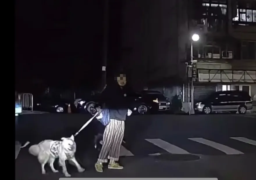 影/帝王行人？鬍渣男牽狗故意站斑馬線「悠哉點菸哈草」1分鐘