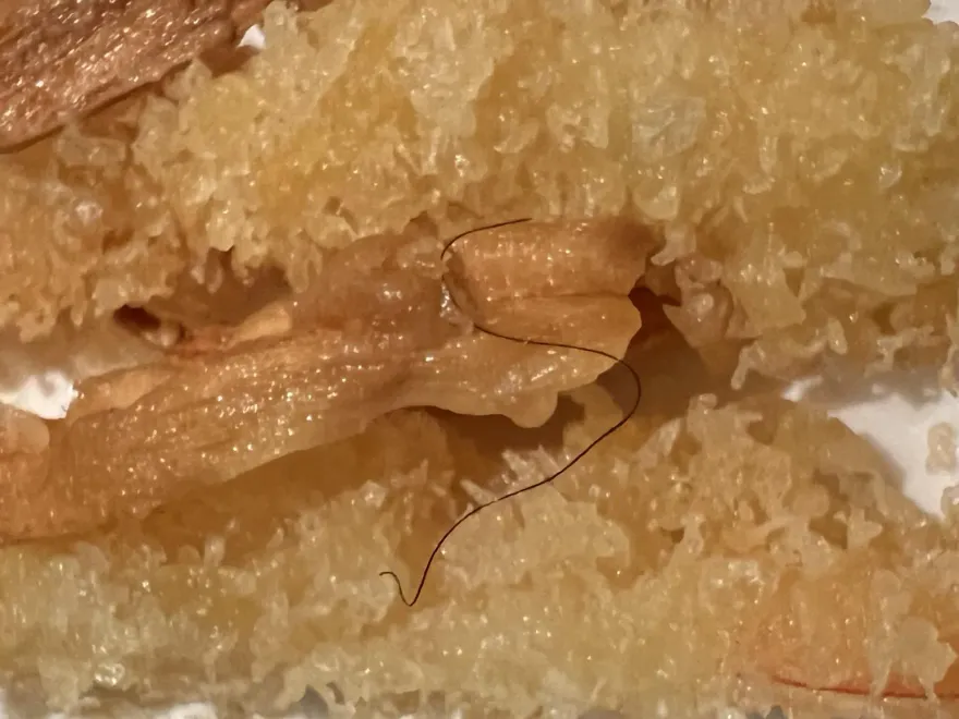 爆料找中天/吃到毛！知名餐廳炸牛蒡藏「體毛」　業者：客人取餐致異物混入