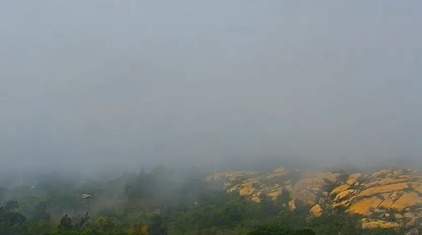 霧鎖金門！小三通五通航線一早停航　旅客苦等1個多小時