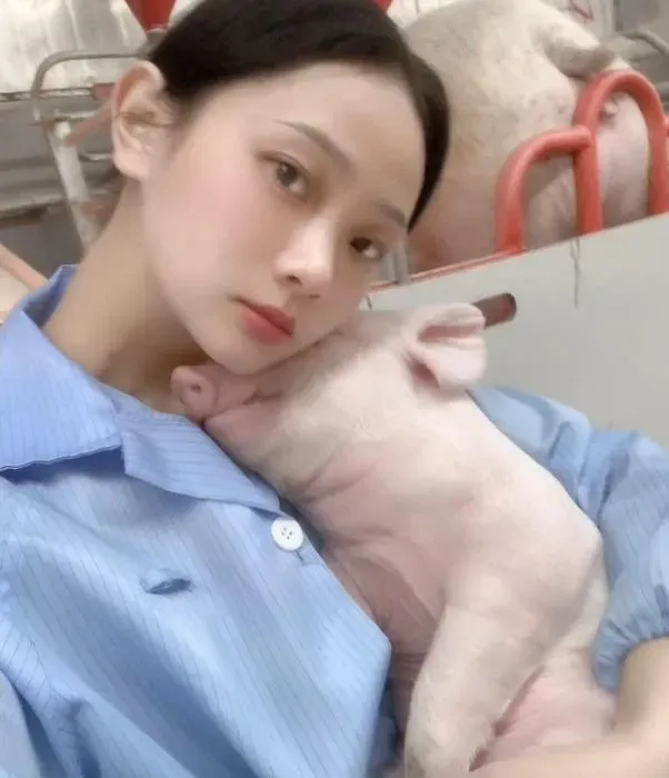 95後美女OL轉當豬保母：月薪25000「同事不是人」煩惱少一半