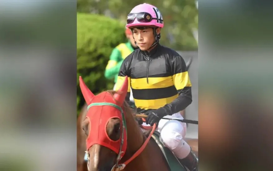 被其他馬匹絆倒...25歲騎士「失去平衡墜落」送醫不治身亡