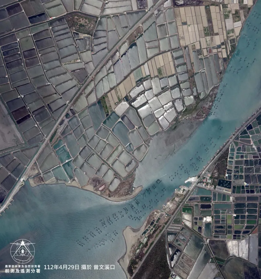 摩斯密碼？台灣西部沿海空拍驚見「詭異小黑點」　林業署曝真相
