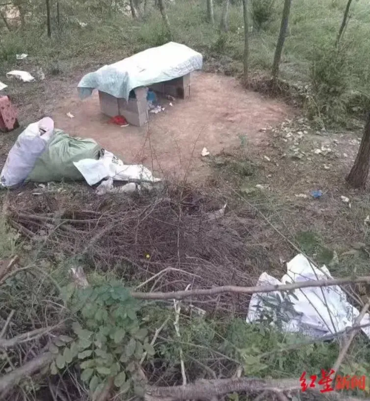 疑遭母打罵引發仇女！13歲少年「殘殺8歲女童」　陸最高檢核准追訴刑責