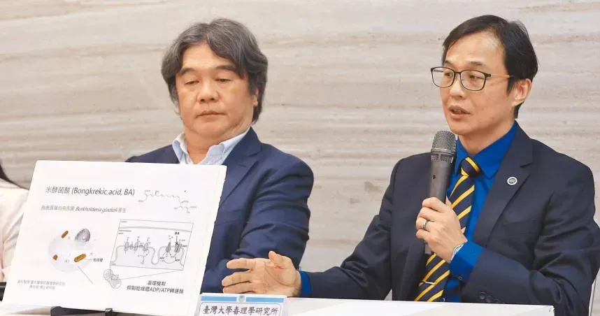 台灣首見！米酵菌酸「10年奪陸43命」無色無味高溫殺不死「5大原則逃死劫」