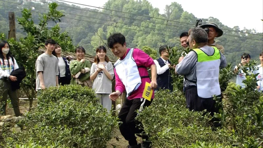 胡瓜放話做到1事就發3000元！茶園主人一聽態度大轉變