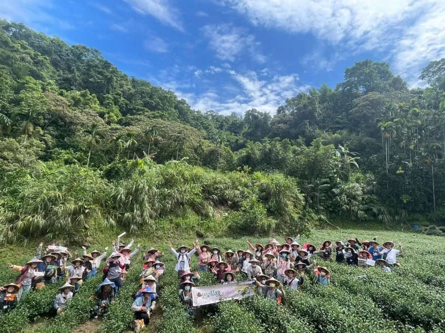 新北紅娘去年促成百對佳偶！今年4/1報名　修成正果再送聯合婚禮