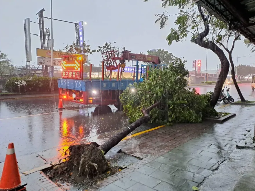 午後強風驟雨！北市43件樹倒通報冒雨搶災　內湖男遭樹壓傷送醫
