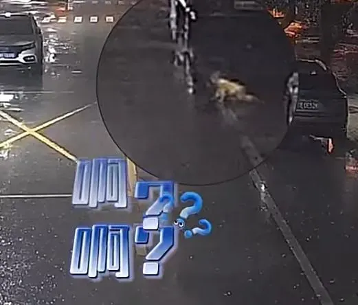 影/嚇死人！6月大男嬰爬上馬路險被輾　雨夜「發抖狂咳」路人急抱起披衣
