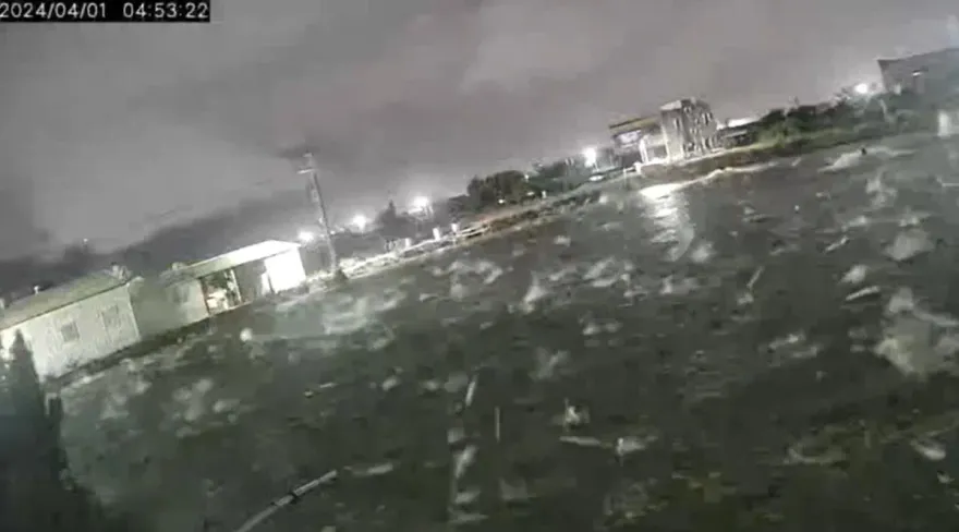 7.2強震撼全台/強震早有預兆？台南虱目魚群突「暴動亂跳」　震撼畫面曝