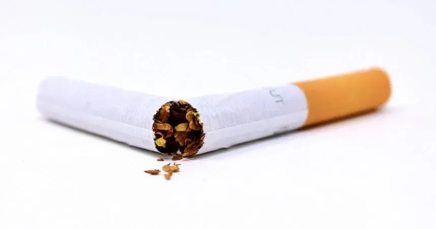國健署預告「加味菸」擬禁27種添加物！海外代購販售最高罰5萬元