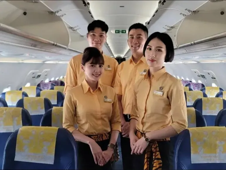 想飛快看！台灣虎航徵空服員、機師　不限科系、起薪7萬元