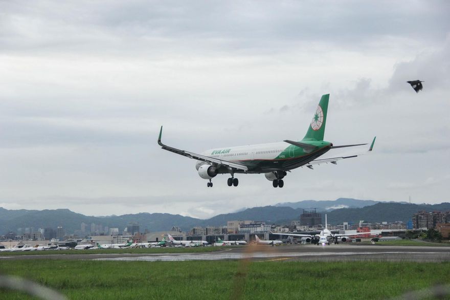 長榮航空業績創新高！前7月合併營收超1287億元
