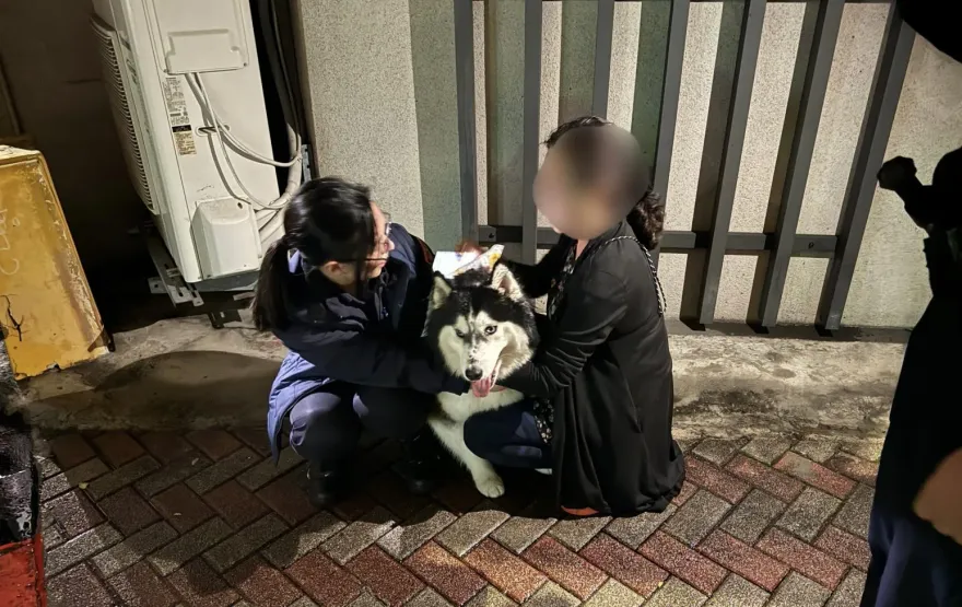 影/毛小孩跟主人屏東搭車北上　開車門狂奔走失警追數公里找回