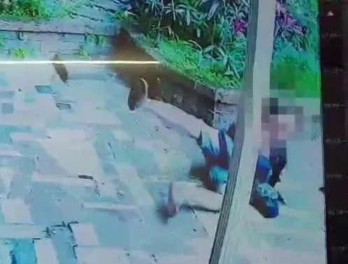 7.2強震撼全台/摔到骨折也要保護孩子！馥邑晶華社區父抱子逃難畫面曝