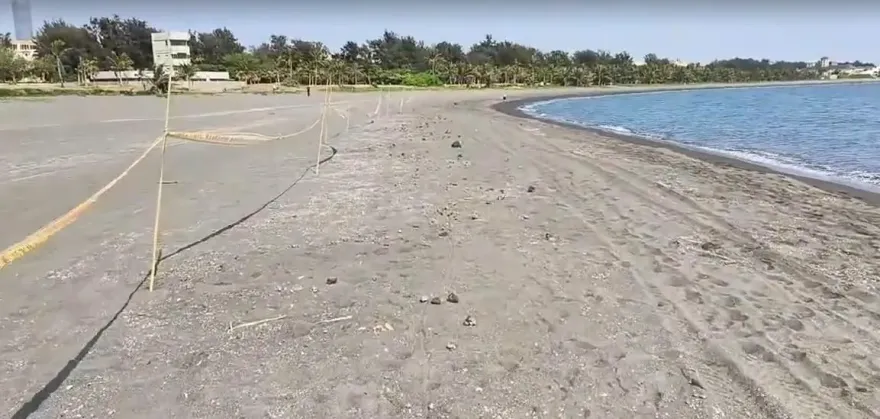 影/高雄旗津沙灘又出現不明油汙！海洋局：初步了解是重油汙染