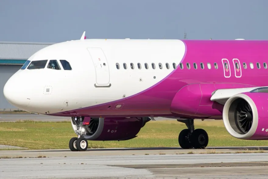 台女「坐電動輪椅」遭樂桃航空拒登機控歧視　日本政府下令改進