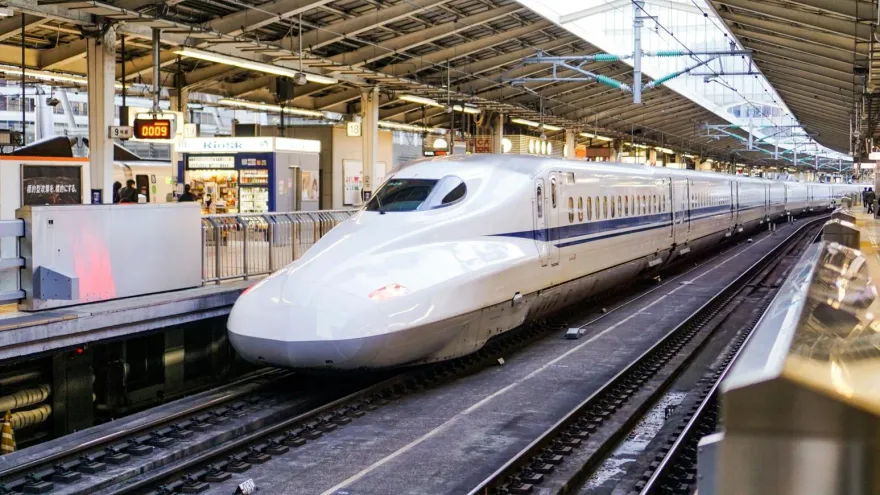 新幹線驚魂！女客求救「車廂內有40公分蛇」緊急停駛、影響630人