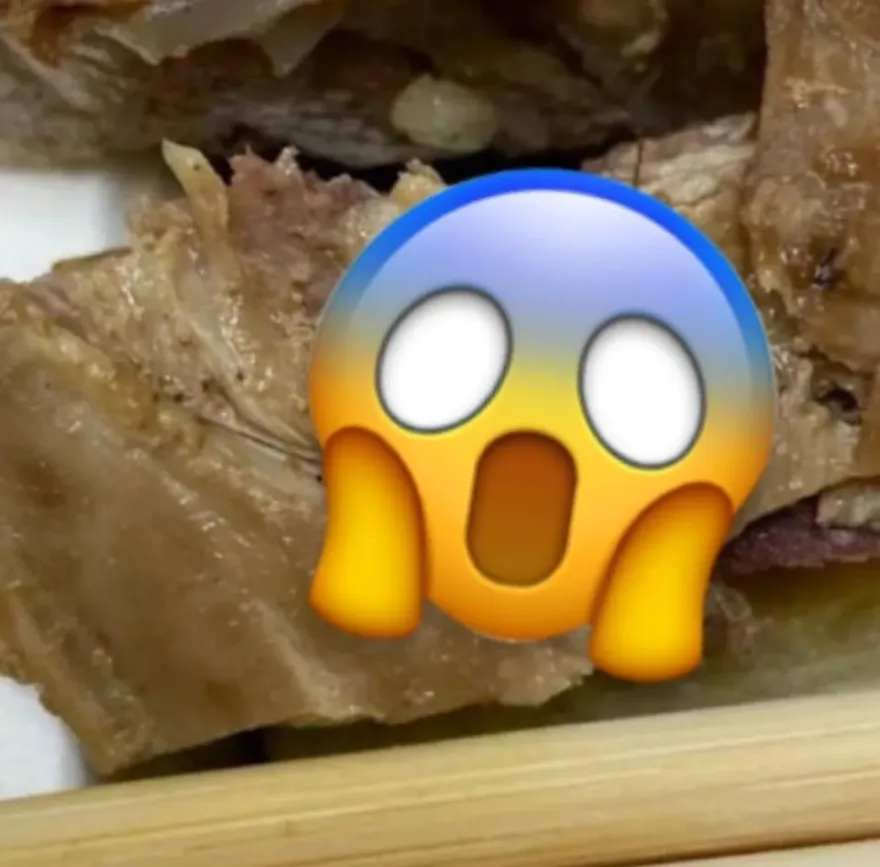 噁爆！燒臘便當「2隻蟑螂鑲肉」、白飯有屍腿　店家認了道歉：願賠償