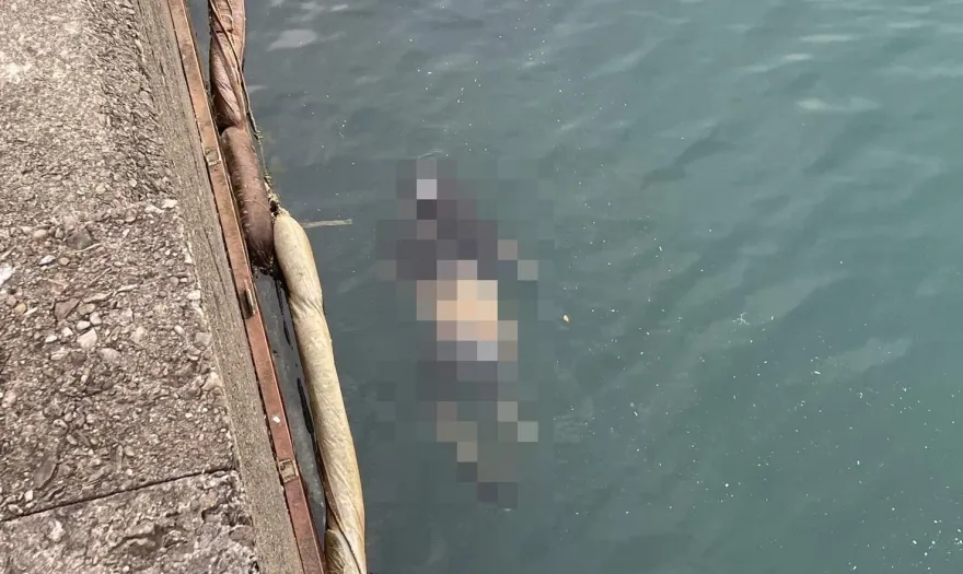 快訊/新北萬里核二廠驚見浮屍　男性頭套黑色塑膠袋雙腳疑遭綑綁