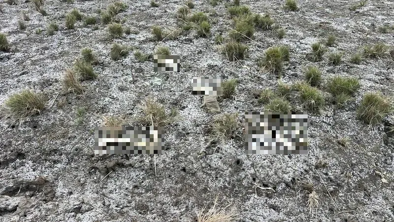 悚！移工大肚溪抓螃蟹見白骨四散　「是否為人骨」檢察官確認中