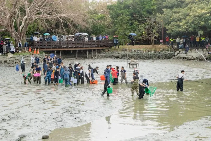 日本人也吃驚！中興大學清池海撈300隻生物　竟藏匿外來種「黑鰱、長絲巨鯰」