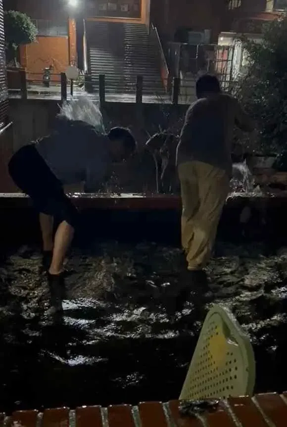 影/雷雨下整天！高雄中山大學「宿舍淹水」　學生自嘲：還以為是水上樂園