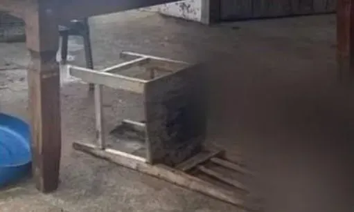 巴西警察家中離奇身亡！6寵物犬「太飢餓」啃食遺體　警方登門「只剩骨架」