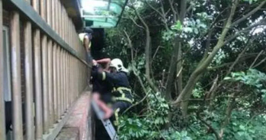 7旬翁修剪樹木「踩破採光罩」墜樓！小腿遭欄杆刺穿　現場滿地鮮血