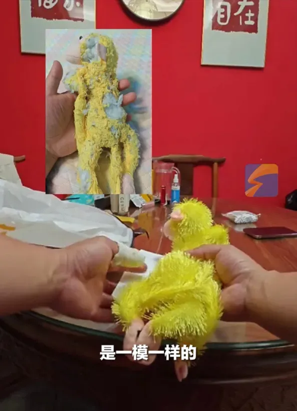 暖哭網友！父親為愛子尋找已停產玩偶　意外獲贈同款並附「手寫信」