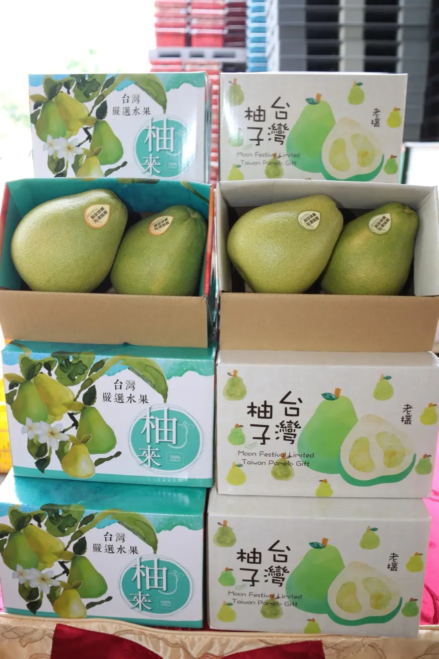 陸釋善意+1！海關總署：台灣文旦柚若符「檢疫要求」可輸入