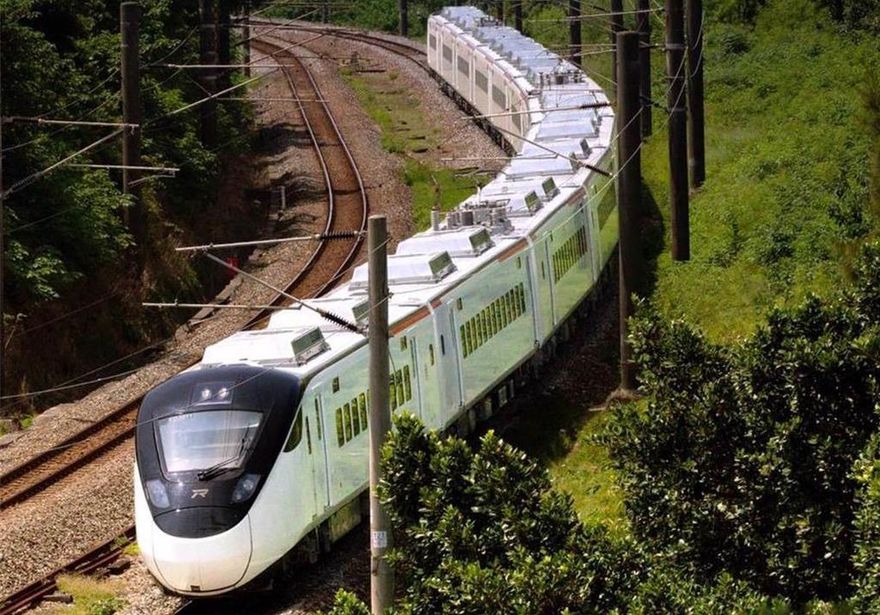 自強號座位下驚見球蟒！台鐵：禁止攜帶蛇類上車