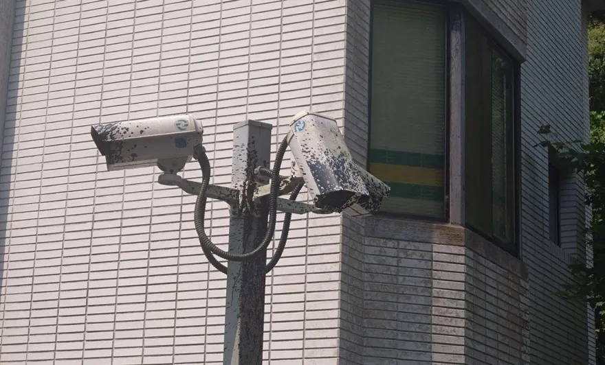 影/想幹嘛？北市文山區驚見「鏡頭君殺手」　噴漆毀7支5小時遭逮
