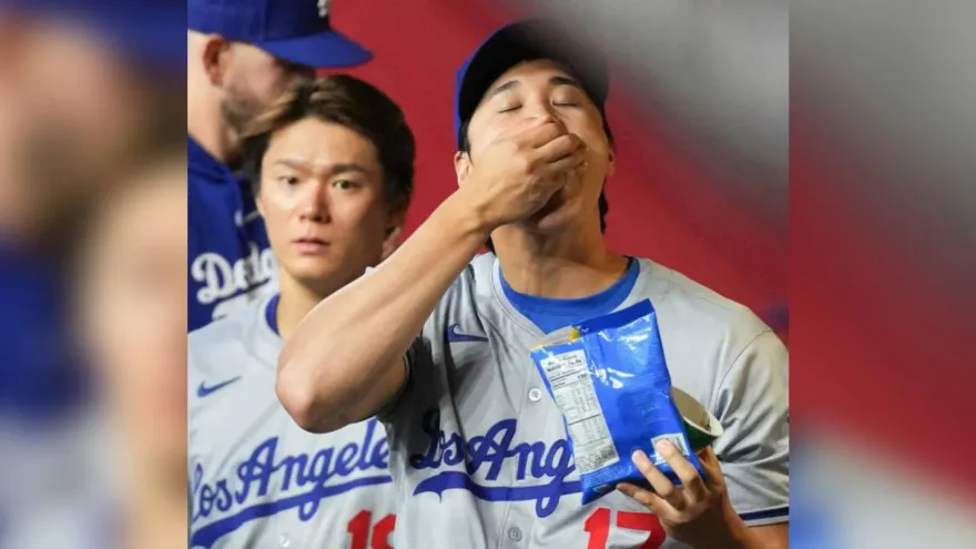 大谷板凳坐好坐滿！猛嗑瓜子看山本第3勝　吃相被虧像小學生