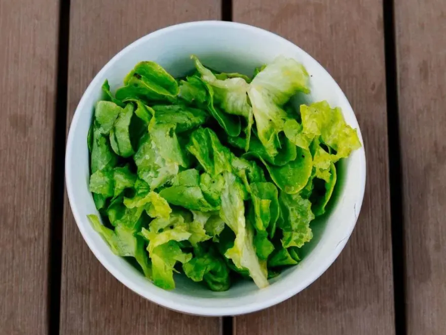 點燙青菜像開盲盒！哪種蔬菜最不該出現？他點名3地雷：沒資格開店