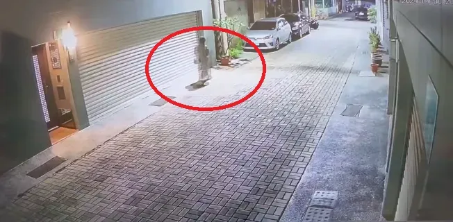 植栽店帥老闆崩潰！遭女客跟騷3年「一天call上百通」　他受夠不忍了