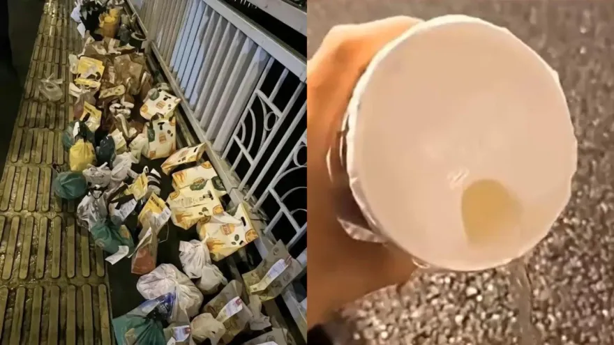 影/陪玩「胖貓」案外案！網友祭奠叫外送竟是「空包裝」　就連鮮花也被回收再賣