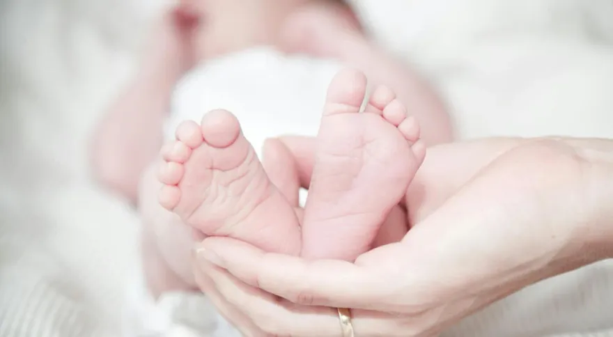 「4生肖」自帶福氣！一生順遂充滿歡樂　晚年富足又健康