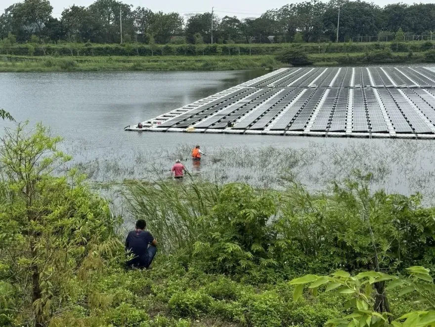 嘉縣中埔公館滯洪池疑鱷魚出沒 縣府籲民眾勿近