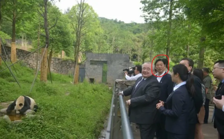 拿貓熊當搖錢樹？陸大貓熊保護研究中心原副主任被查　網籲：善待動物