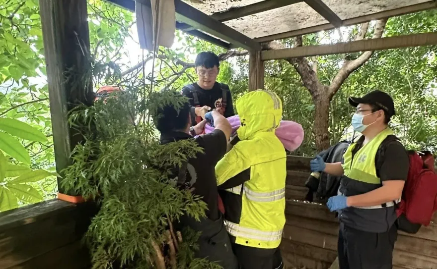 新北土城男3樓墜落地面腿部骨折　警消架梯救援送醫