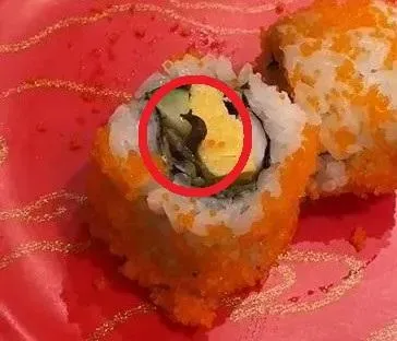 影/快訊/日本壽司連鎖店驚見「活蛞蝓壽司」！北市衛生局揪「2衛生缺失」！