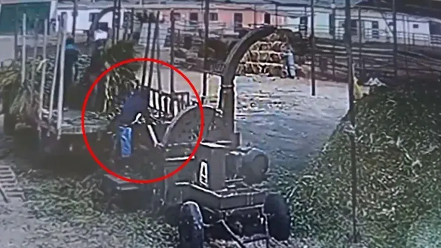3秒淪肉泥！祕魯工人慘摔粉碎機　2同事目睹「上半身全絞爛」
