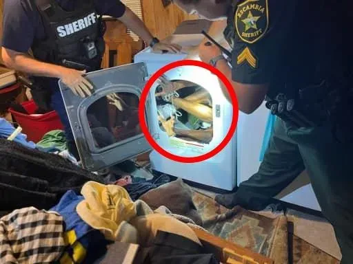 軟骨功神人？槍擊犯狂逃2個月…見警上門竟把自己「對折塞進烘衣機」