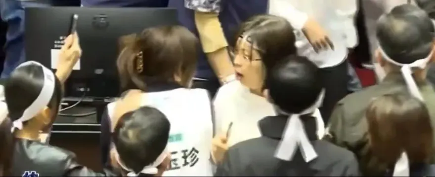 快訊／綠白女委議場互毆　林淑芬右鉤拳重擊麥玉珍臉頰