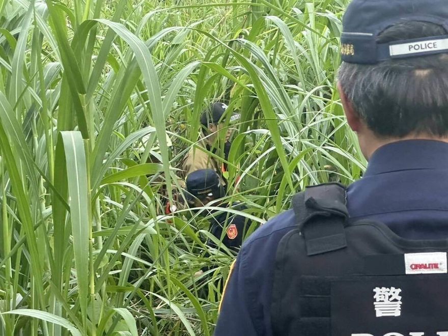 高雄男到曾文溪畔生態調查　迷途草叢3小時救出、嚇壞了