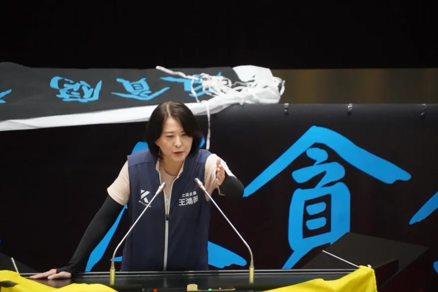 「怯戰、雙標、土皇帝！」王鴻薇：賴清德在釋憲記者會公然表演違憲