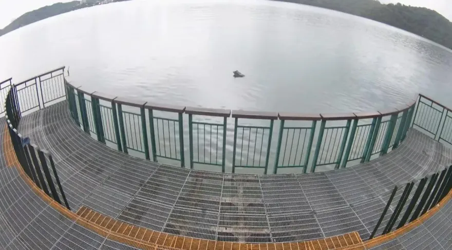 孤單一隻蛙！鋒面雨全降集水區「九蛙疊像」剩牠了　獨漂水面畫面曝