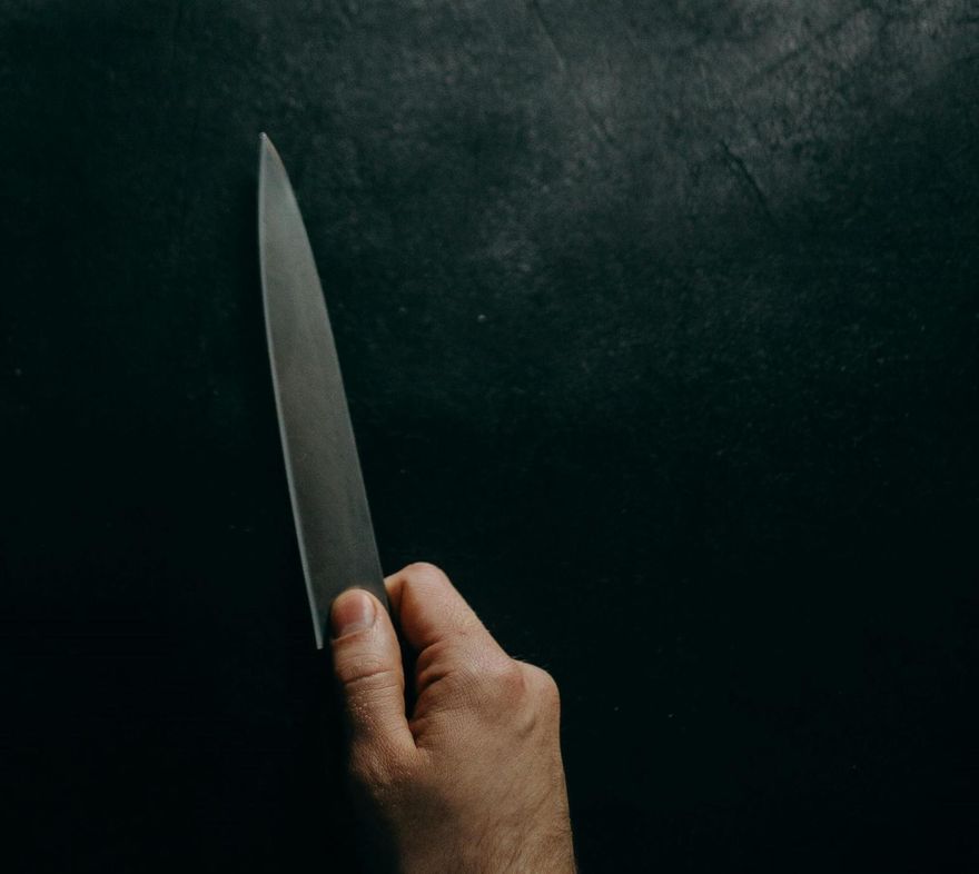 老爸是得獎製作人…美國男分屍華裔妻與岳父母　驚傳牢裡尋短亡