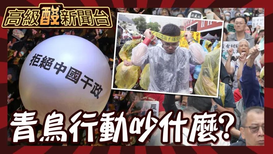 鯊鯊主播高級酸/街訪大學生　青鳥行動抗爭什麼？