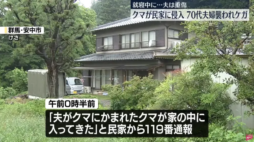 影/群馬山區野熊闖入民宅　70多歲屋主夫婦遭攻擊重傷送醫
